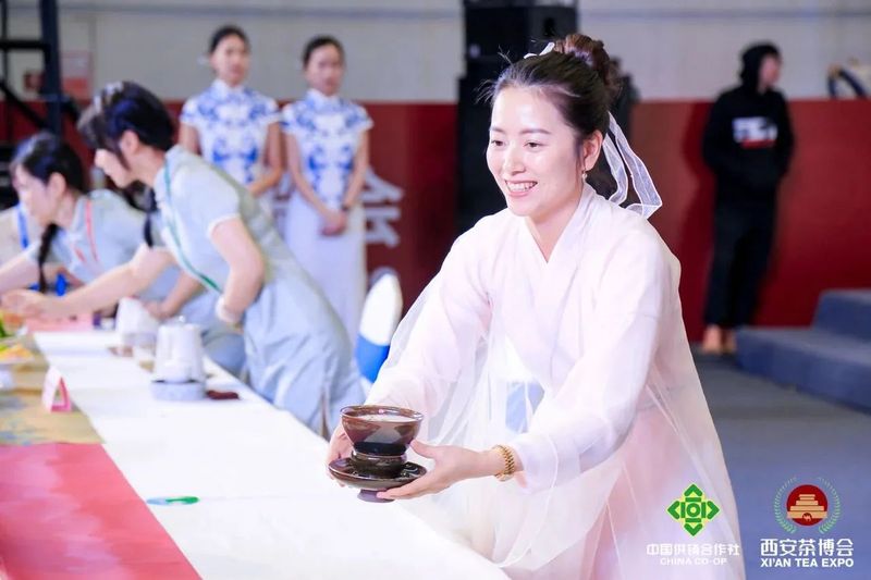 关于2023建阳小白茶品牌推介会成功举办的消息(13)