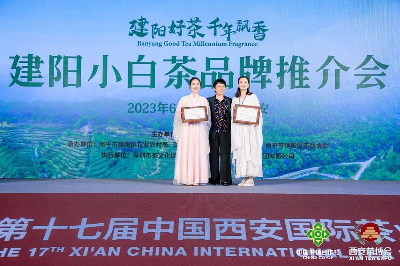 关于2023建阳小白茶品牌推介会成功举办的消息(7)