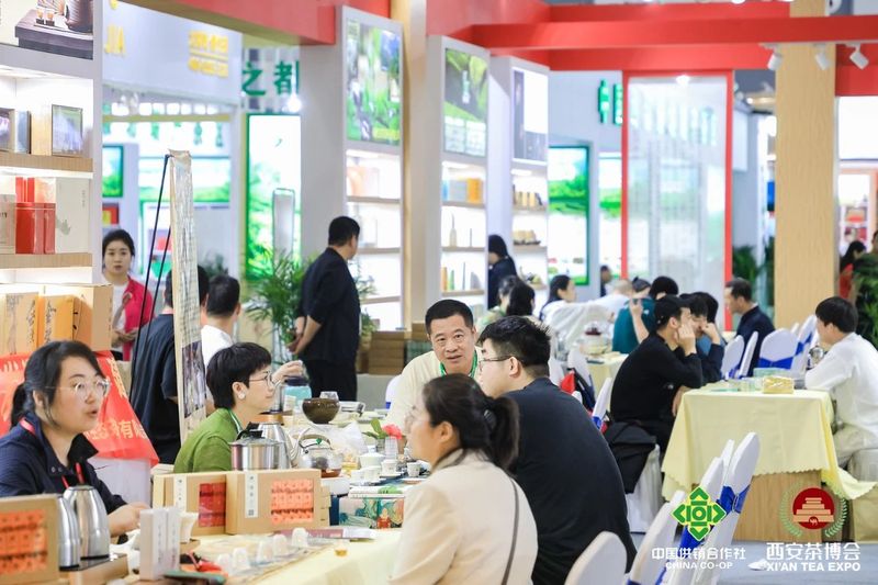 关于2023建阳小白茶品牌推介会成功举办的消息(12)