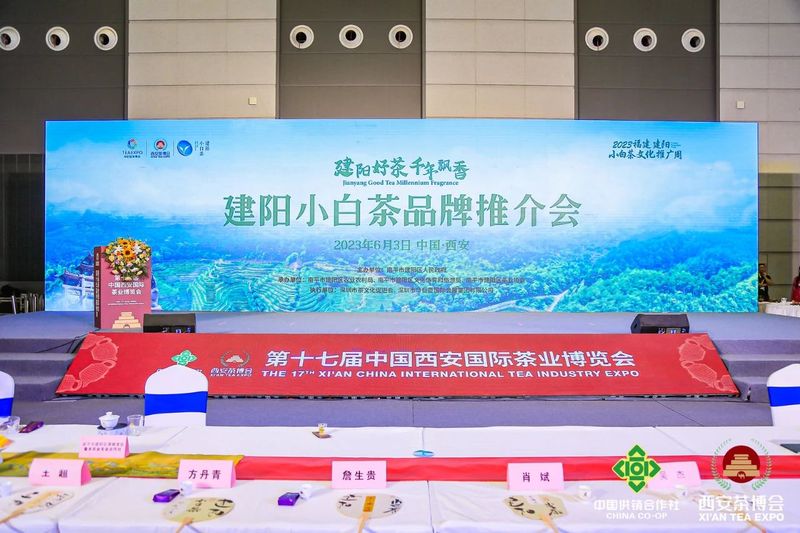 关于2023建阳小白茶品牌推介会成功举办的消息(1)