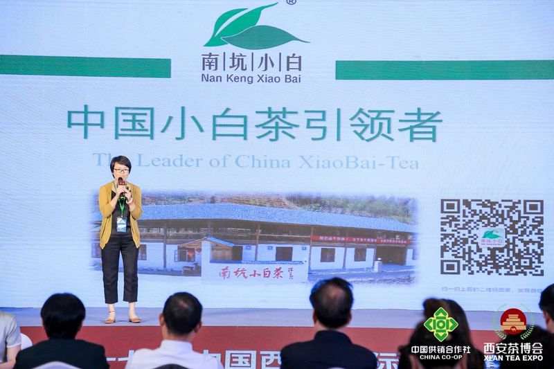 关于2023建阳小白茶品牌推介会成功举办的消息(11)