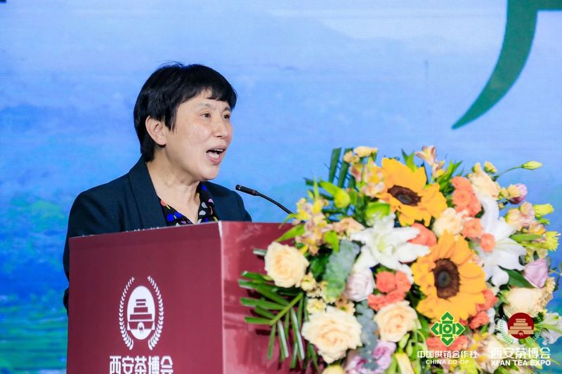 关于2023建阳小白茶品牌推介会成功举办的消息(2)