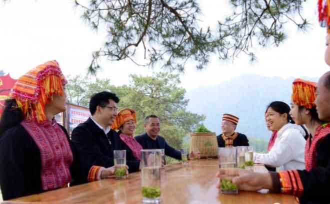 关于昭平县以茶育廉 以廉养茶的内容(1)