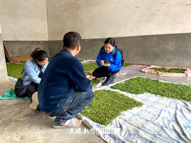 关于贞丰：小庄茶博士带出一批乡土茶专家的新闻(1)