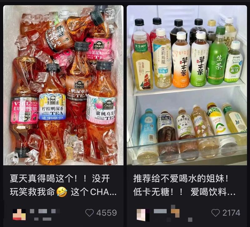 关于1200亿茶饮料市场，山茶花红了的相关内容