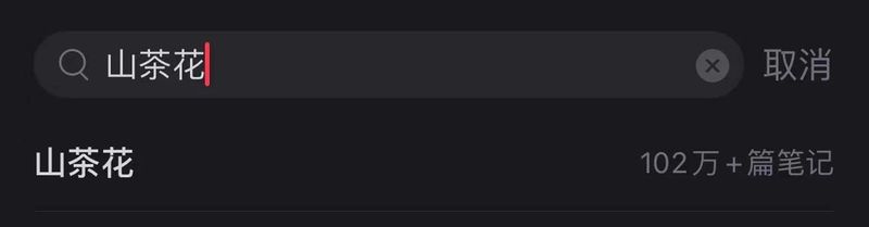 关于1200亿茶饮料市场，山茶花红了的相关内容(3)