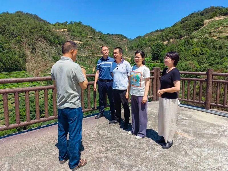 关于新罗区政协开展“推动新罗区茶产业高质量发展”调研活动的信息