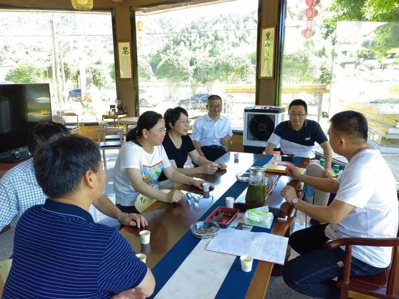 关于新罗区政协开展“推动新罗区茶产业高质量发展”调研活动的信息(3)