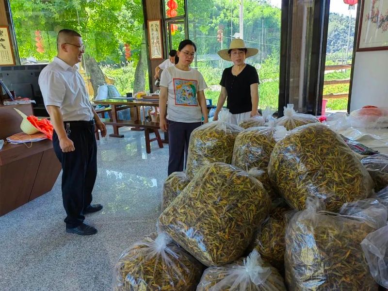 关于新罗区政协开展“推动新罗区茶产业高质量发展”调研活动的信息(1)