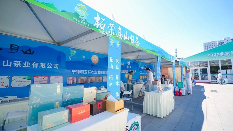 有关于柘荣带着好茶来北京上演“老友记”的内容(9)