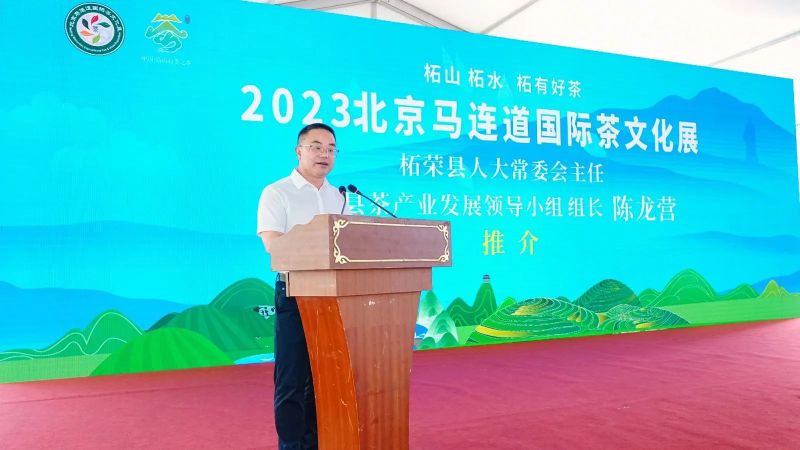 有关于柘荣带着好茶来北京上演“老友记”的内容(1)