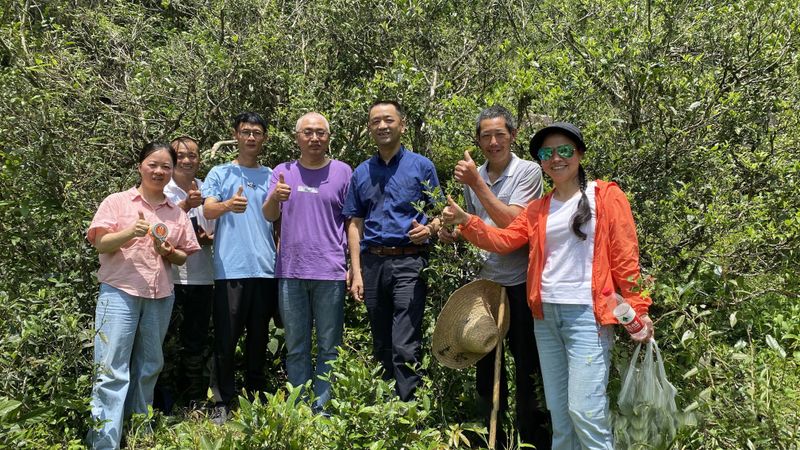 关于南平市组织学术专家、学者等对 古茶树进行科学考察的信息