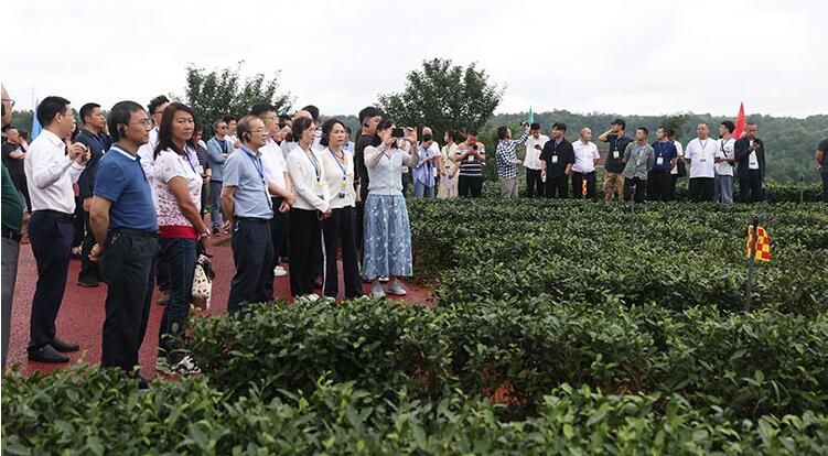 关于宜宾翠屏区被授予“四川茶业科技示范区”的内容