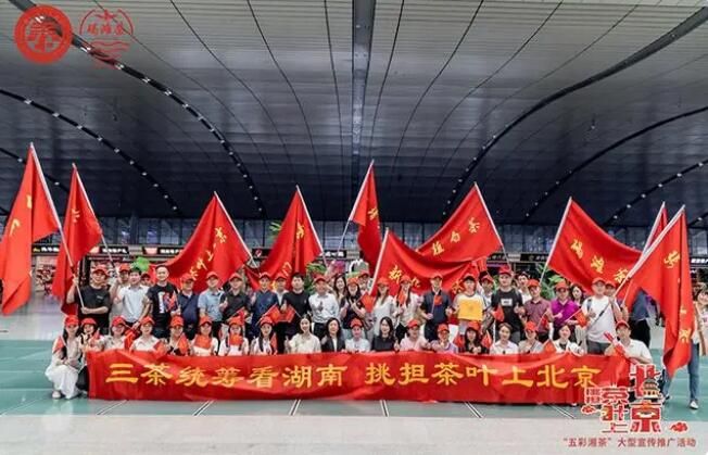 有关于沅陵：千年贡茶碣滩茶搭乘高铁上北京的相关信息