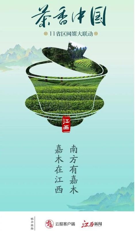 有关于茶香中国·11省区网媒大联动·南方有嘉木（一）的新闻(10)