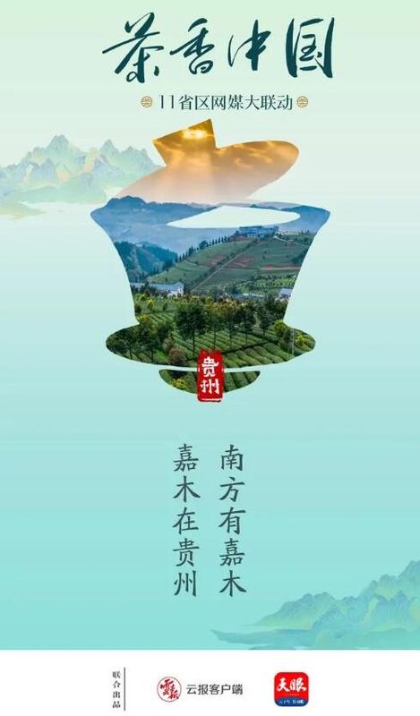 有关于茶香中国·11省区网媒大联动·南方有嘉木（一）的新闻(3)