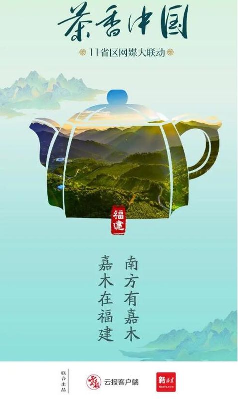有关于茶香中国·11省区网媒大联动·南方有嘉木（一）的新闻(8)