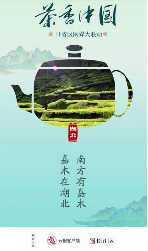 有关于茶香中国·11省区网媒大联动·南方有嘉木（一）的新闻(12)