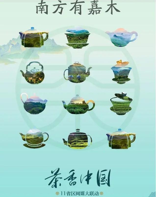 有关于茶香中国·11省区网媒大联动·南方有嘉木（一）的新闻