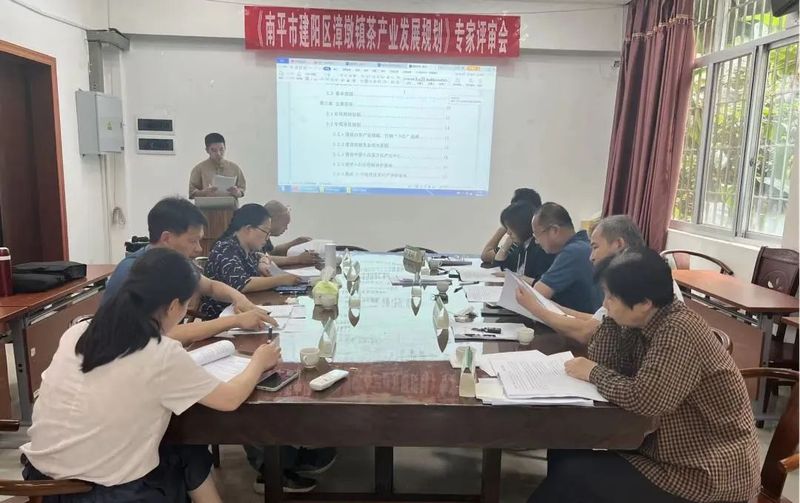 有关于《漳墩镇茶产业发展规划》《小白茶林下栽培技术规程》评审会顺利召开的新闻(2)