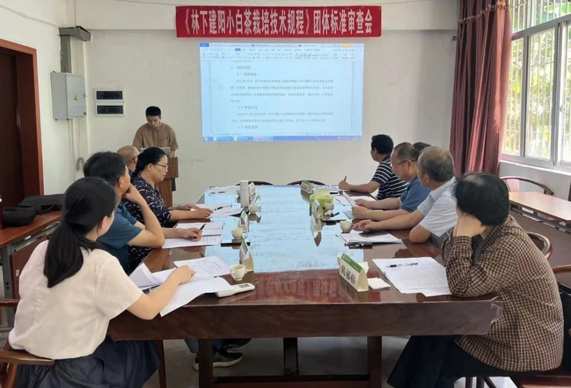 有关于《漳墩镇茶产业发展规划》《小白茶林下栽培技术规程》评审会顺利召开的新闻