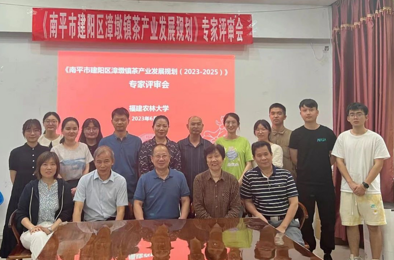 有关于《漳墩镇茶产业发展规划》《小白茶林下栽培技术规程》评审会顺利召开的新闻(3)