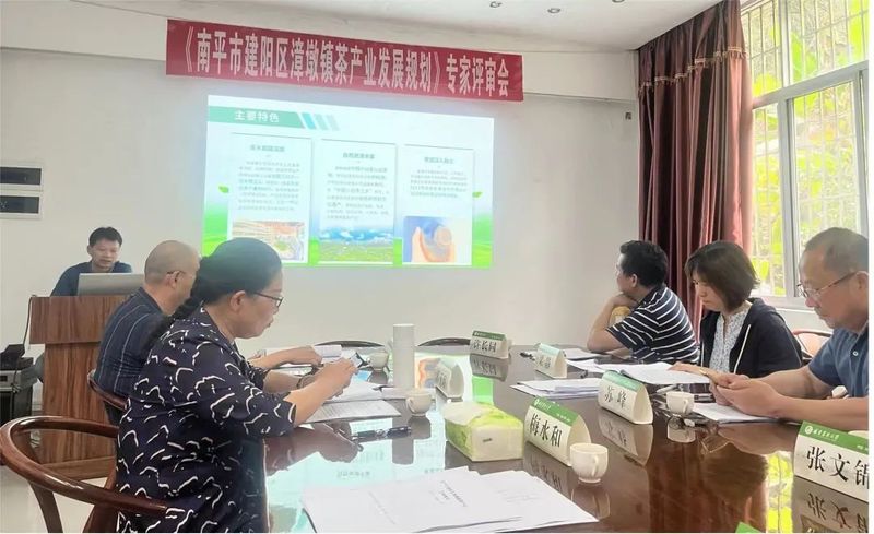 有关于《漳墩镇茶产业发展规划》《小白茶林下栽培技术规程》评审会顺利召开的新闻(1)
