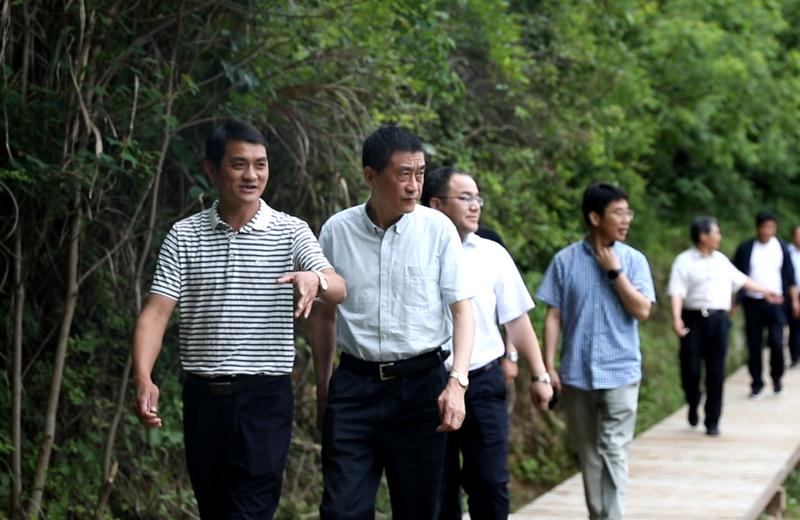 关于安农大来岳西考察调研茶产业发展的消息(1)