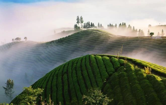 关于鹤峰富硒有机康养：人言此是桃源地，不信桃源如许奇的相关信息(2)