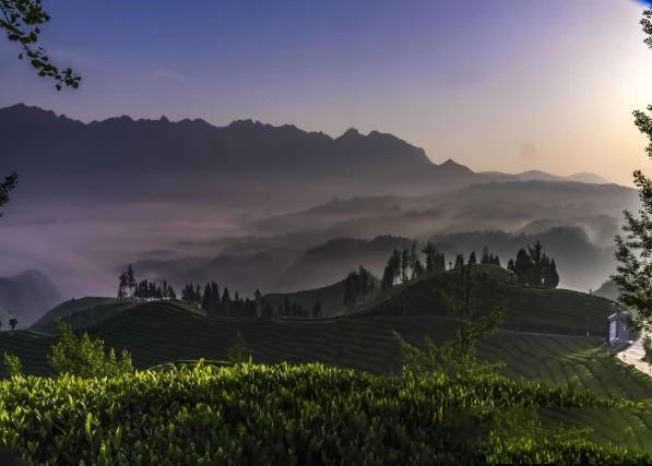 关于鹤峰富硒有机康养：人言此是桃源地，不信桃源如许奇的相关信息(5)