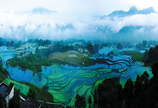 关于鹤峰富硒有机康养：人言此是桃源地，不信桃源如许奇的相关信息(1)