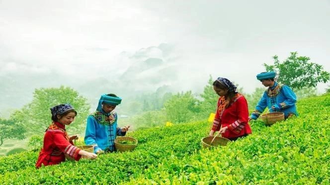 关于鹤峰富硒有机康养：人言此是桃源地，不信桃源如许奇的相关信息(9)