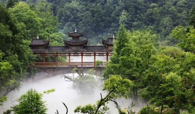 关于鹤峰富硒有机康养：人言此是桃源地，不信桃源如许奇的相关信息(10)