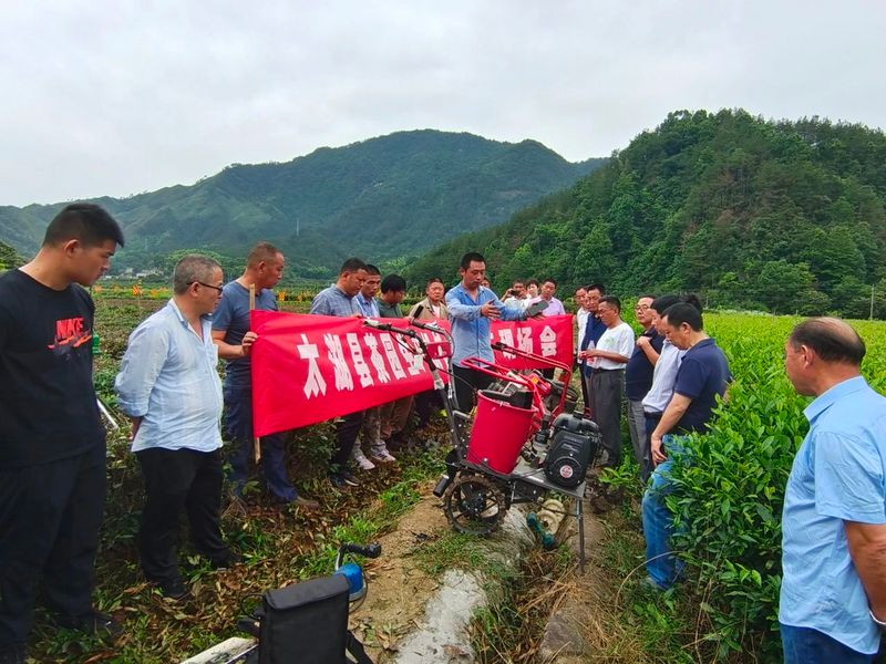 关于太湖县：茶园“机器换人”吸人眼球的信息