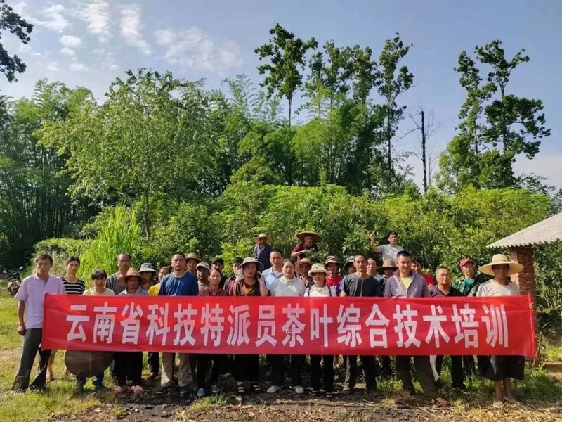 有关于国庆乡田房村开展茶叶综合技术培训的资讯