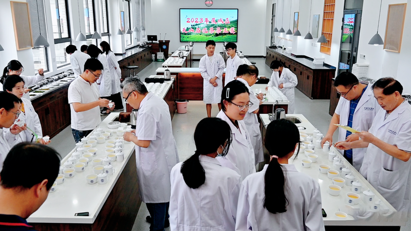 关于2023年蕉城区天山名优茶茶王大赛举办的内容