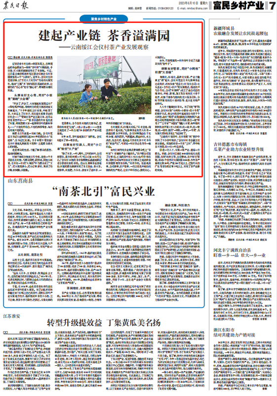 关于建起产业链 茶香溢满园！《农民日报》聚焦云南绥江会仪村茶产业发展的内容