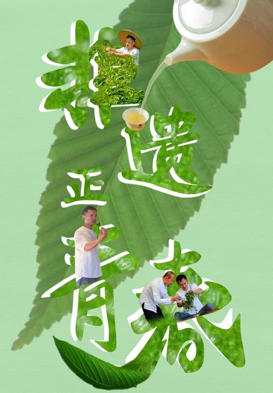 关于“90后”非遗传承人 让石墨茶再次“活”起来的相关内容