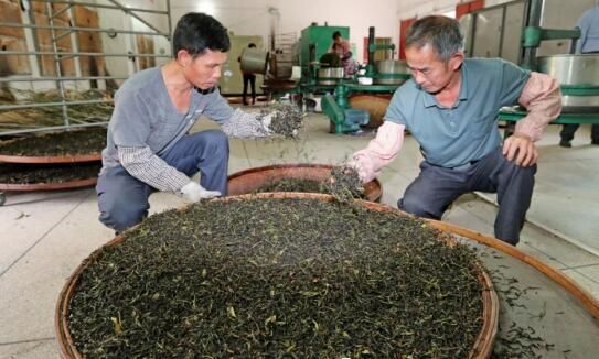 关于丰顺县茶叶产业园项目概述的消息(1)