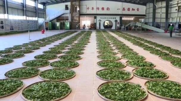 关于丰顺县茶叶产业园项目概述的消息(2)