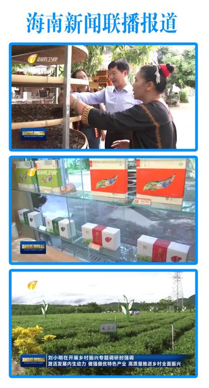 有关于海南省长刘小明莅临我会会员单位五里路有机茶园调研茶产业乡村振兴的相关信息(10)