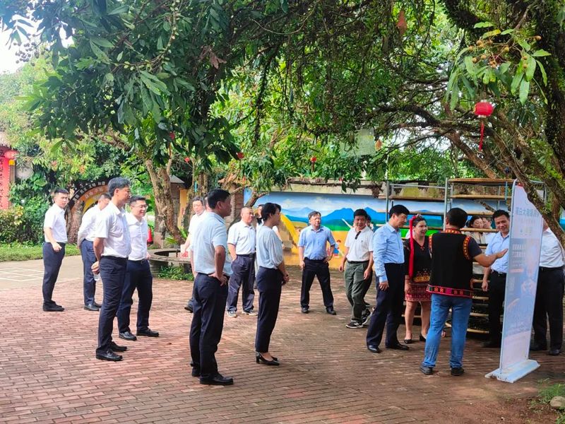 有关于海南省长刘小明莅临我会会员单位五里路有机茶园调研茶产业乡村振兴的相关信息(3)