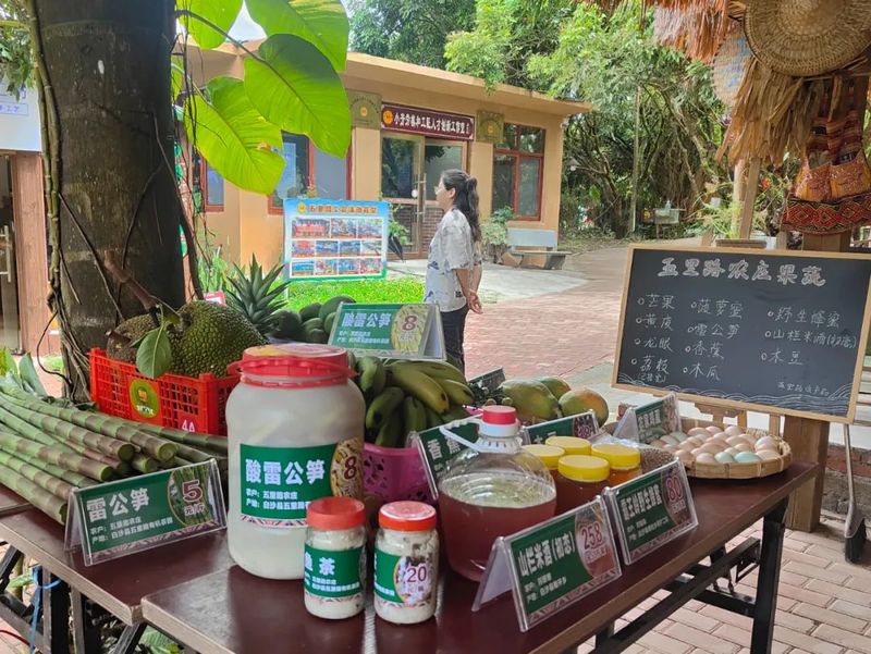 有关于海南省长刘小明莅临我会会员单位五里路有机茶园调研茶产业乡村振兴的相关信息(8)