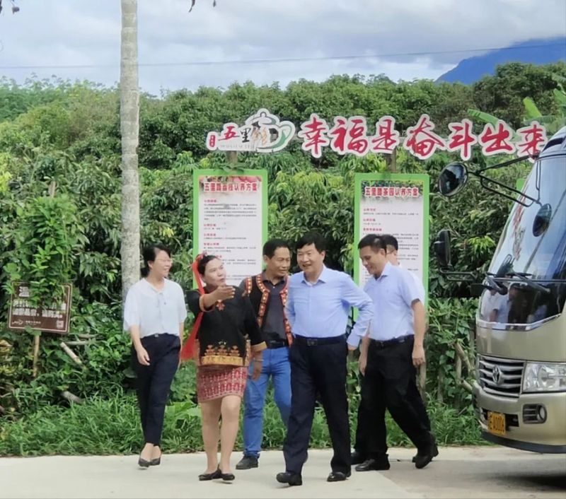 有关于海南省长刘小明莅临我会会员单位五里路有机茶园调研茶产业乡村振兴的相关信息