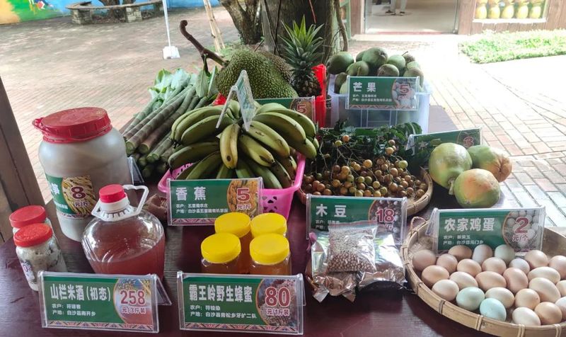 有关于海南省长刘小明莅临我会会员单位五里路有机茶园调研茶产业乡村振兴的相关信息(9)