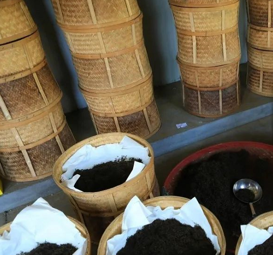 有关于科技创新与红茶产业升级发展报告的相关信息(3)