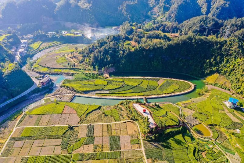 有关于听不厌的《龙船调》，其故乡还以凉闻名，更站湖北红茶C位的资讯(16)