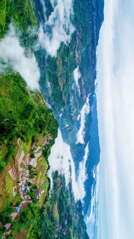 有关于听不厌的《龙船调》，其故乡还以凉闻名，更站湖北红茶C位的资讯(6)