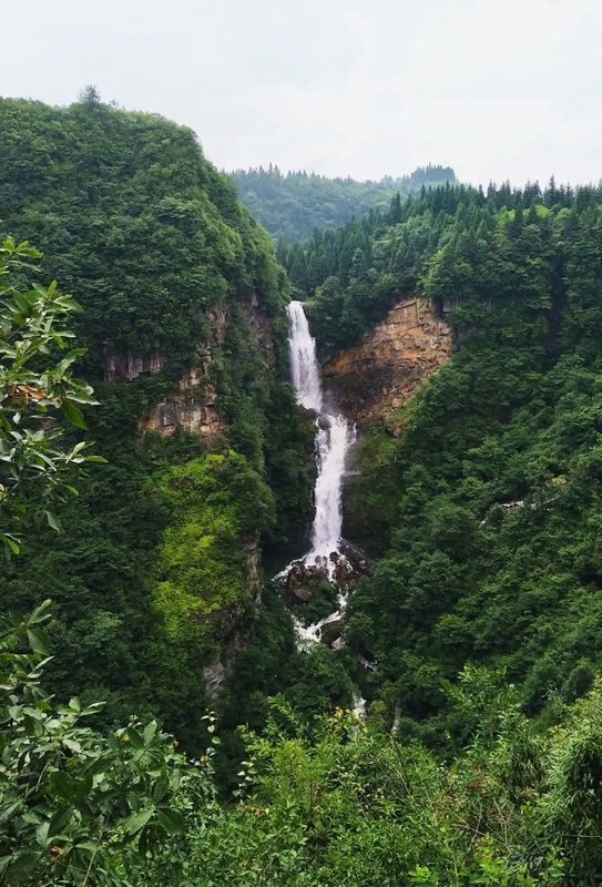 有关于听不厌的《龙船调》，其故乡还以凉闻名，更站湖北红茶C位的资讯(2)