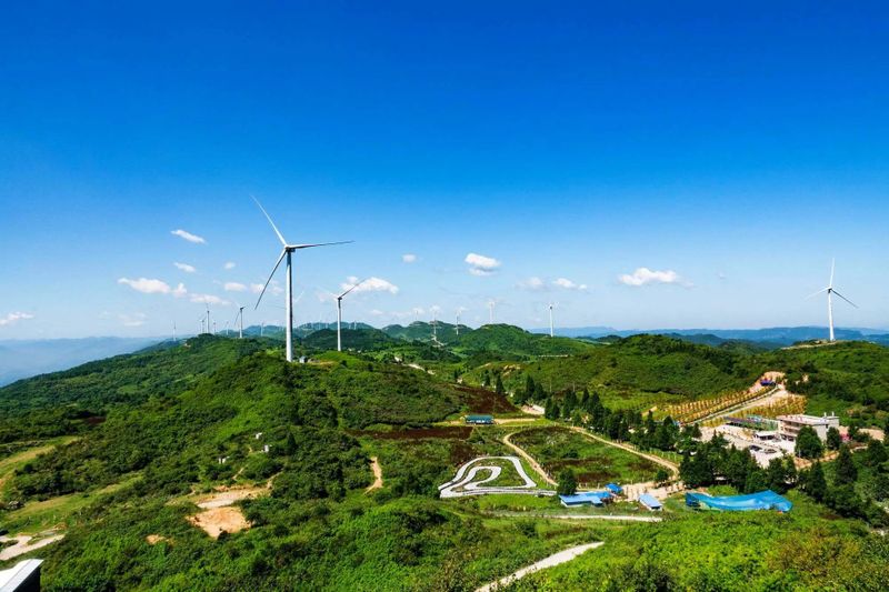 有关于听不厌的《龙船调》，其故乡还以凉闻名，更站湖北红茶C位的资讯(5)